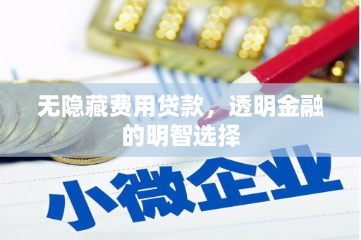 杂多无隐藏费用贷款，透明金融的明智选择