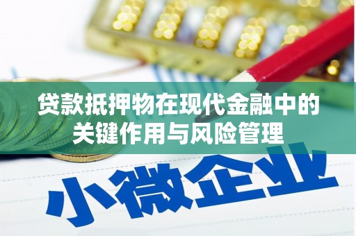 杂多贷款抵押物在现代金融中的关键作用与风险管理