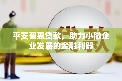 杂多平安普惠贷款，助力小微企业发展的金融利器
