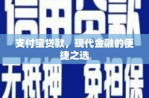 杂多支付宝贷款，现代金融的便捷之选