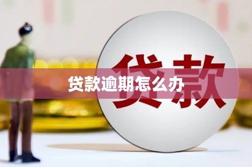 杂多贷款逾期怎么办