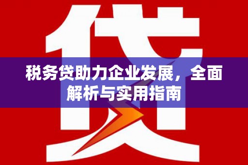 杂多税务贷助力企业发展，全面解析与实用指南