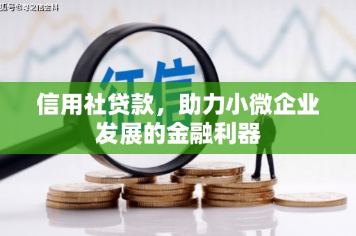 杂多信用社贷款，助力小微企业发展的金融利器
