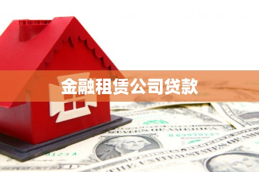 杂多金融租赁公司贷款