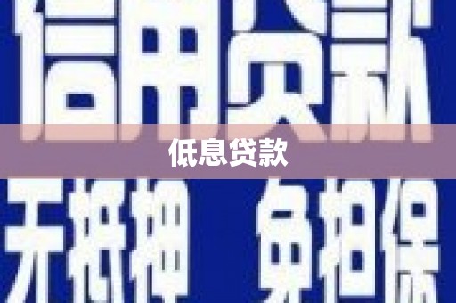 杂多低息贷款