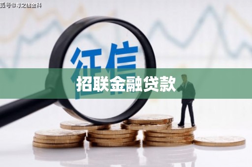 杂多招联金融贷款