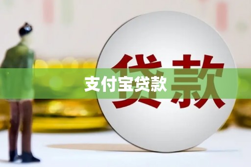 杂多支付宝贷款