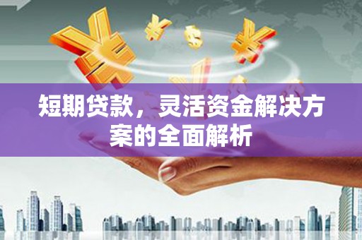 杂多短期贷款，灵活资金解决方案的全面解析