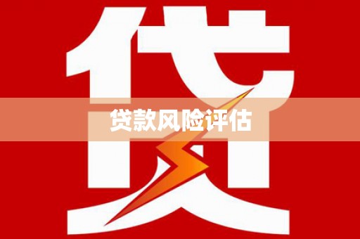 杂多贷款风险评估