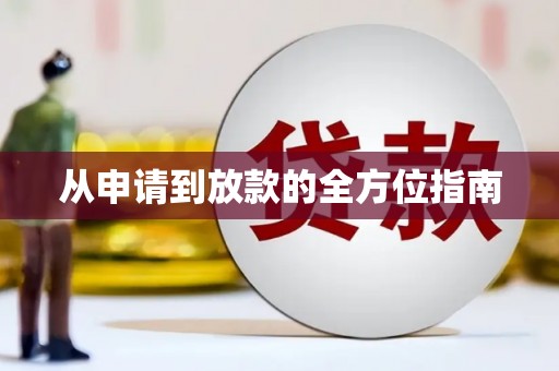 杂多从申请到放款的全方位指南