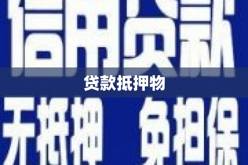 杂多贷款抵押物
