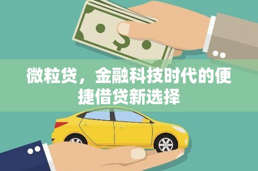 杂多微粒贷，金融科技时代的便捷借贷新选择