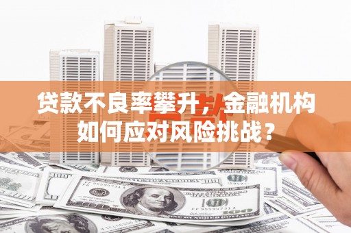杂多贷款不良率攀升，金融机构如何应对风险挑战？