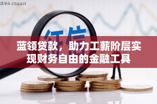杂多蓝领贷款，助力工薪阶层实现财务自由的金融工具