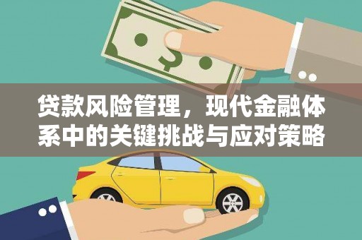 杂多贷款风险管理，现代金融体系中的关键挑战与应对策略