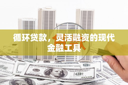 杂多循环贷款，灵活融资的现代金融工具
