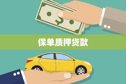 杂多保单质押贷款