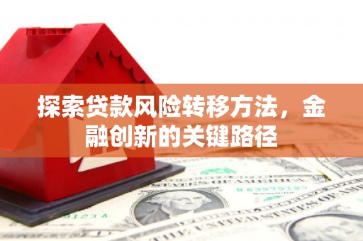 杂多探索贷款风险转移方法，金融创新的关键路径