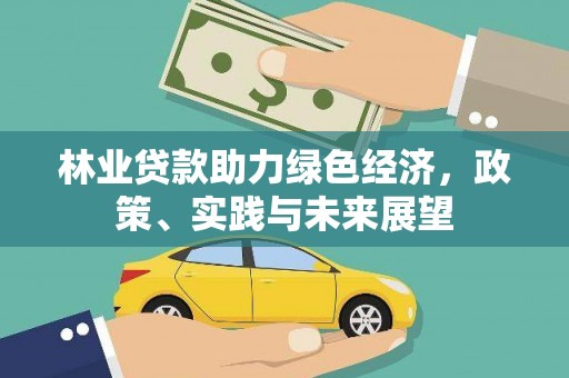 杂多林业贷款助力绿色经济，政策、实践与未来展望
