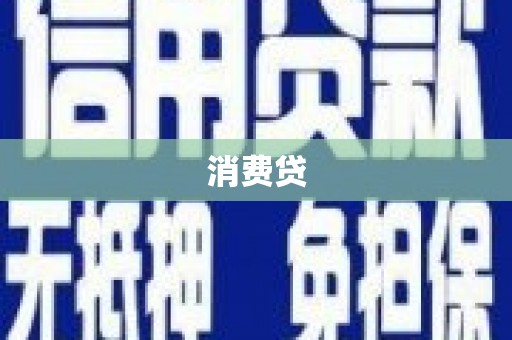 杂多消费贷