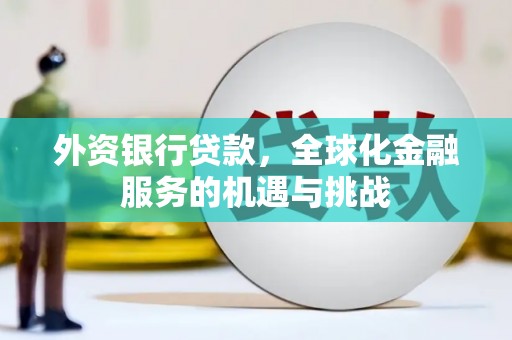 杂多外资银行贷款，全球化金融服务的机遇与挑战