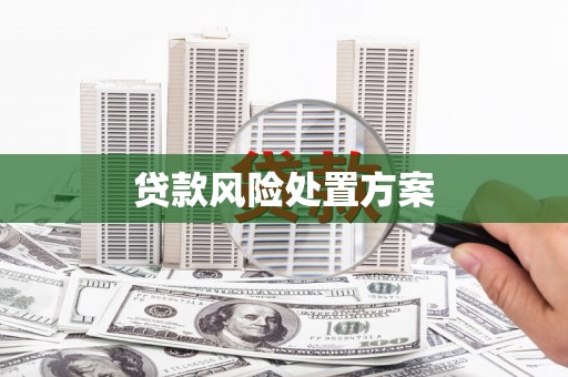杂多贷款风险处置方案