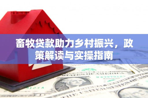 杂多畜牧贷款助力乡村振兴，政策解读与实操指南