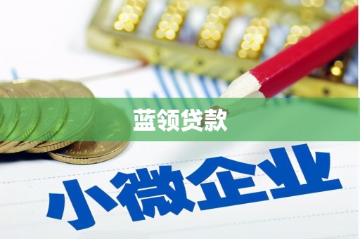 杂多蓝领贷款