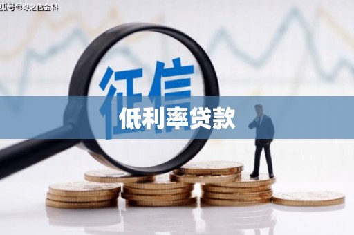 杂多低利率贷款