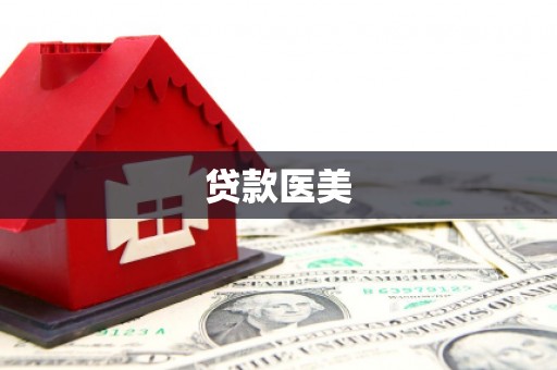 杂多贷款医美