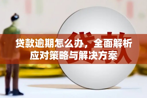 杂多贷款逾期怎么办，全面解析应对策略与解决方案
