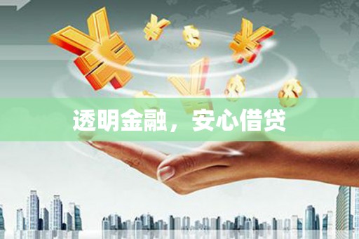 杂多透明金融，安心借贷
