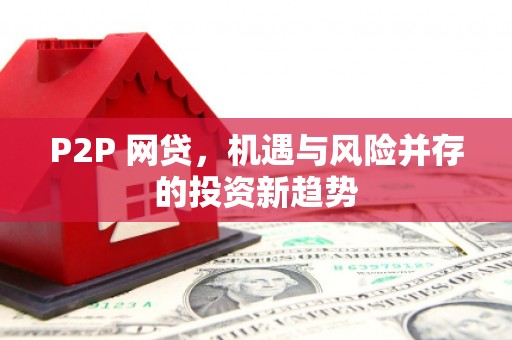 杂多P2P 网贷，机遇与风险并存的投资新趋势