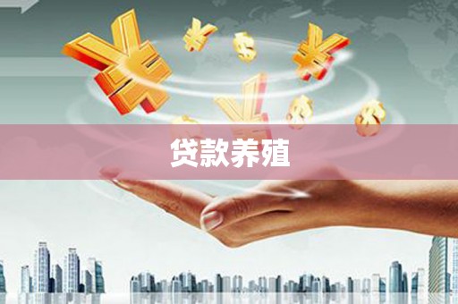 杂多贷款养殖