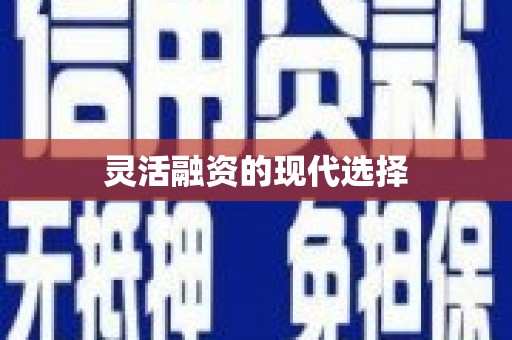 杂多灵活融资的现代选择