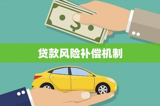 杂多贷款风险补偿机制
