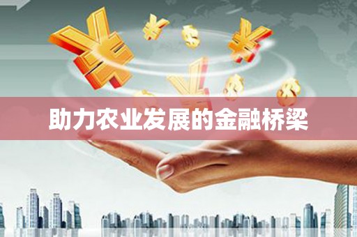 杂多助力农业发展的金融桥梁