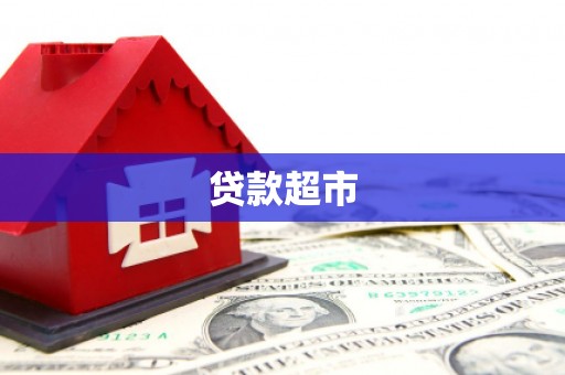 杂多贷款超市