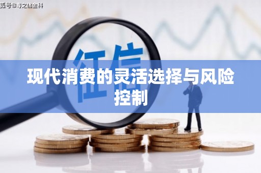杂多现代消费的灵活选择与风险控制