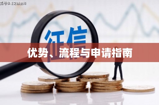 杂多优势、流程与申请指南