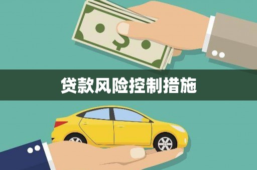 杂多贷款风险控制措施
