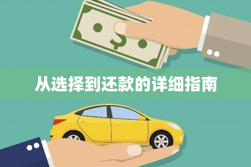 杂多从选择到还款的详细指南