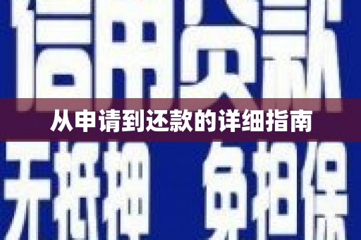 杂多从申请到还款的详细指南