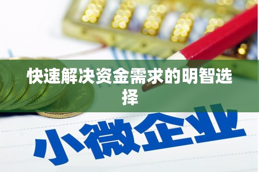 杂多快速解决资金需求的明智选择