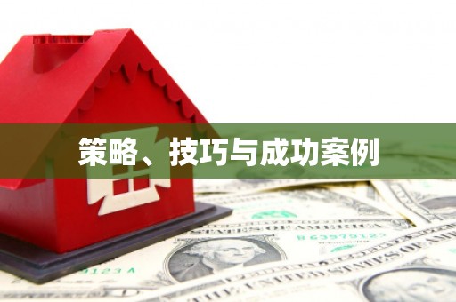 杂多策略、技巧与成功案例