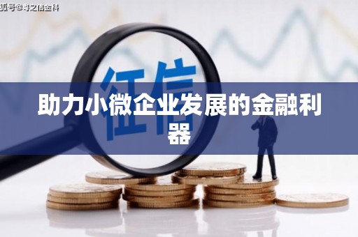 杂多助力小微企业发展的金融利器