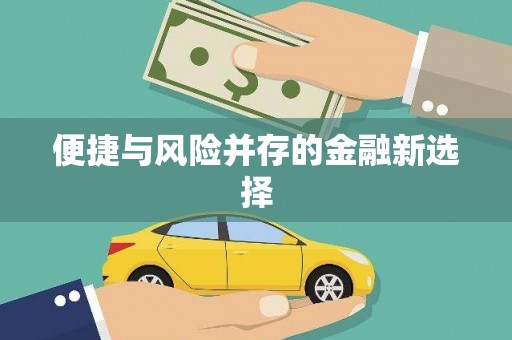 杂多便捷与风险并存的金融新选择