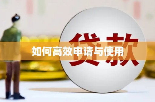 杂多如何高效申请与使用