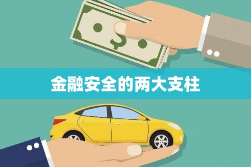 杂多金融安全的两大支柱