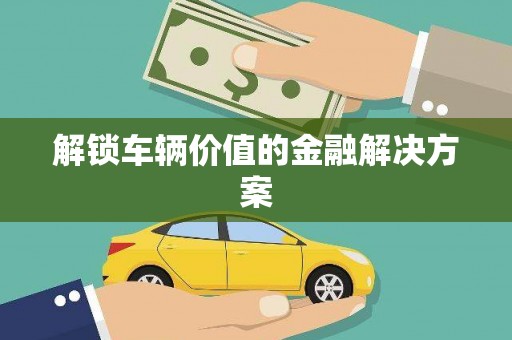 杂多解锁车辆价值的金融解决方案